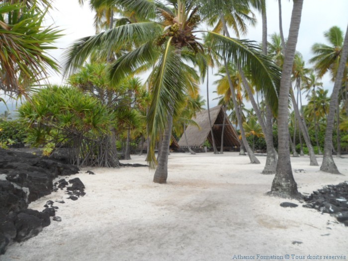 plage-hawai-seminaire-initiatique