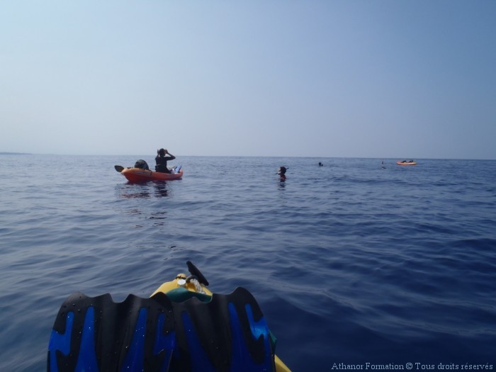 seminaire-initiatique-ocean-indien-hawai