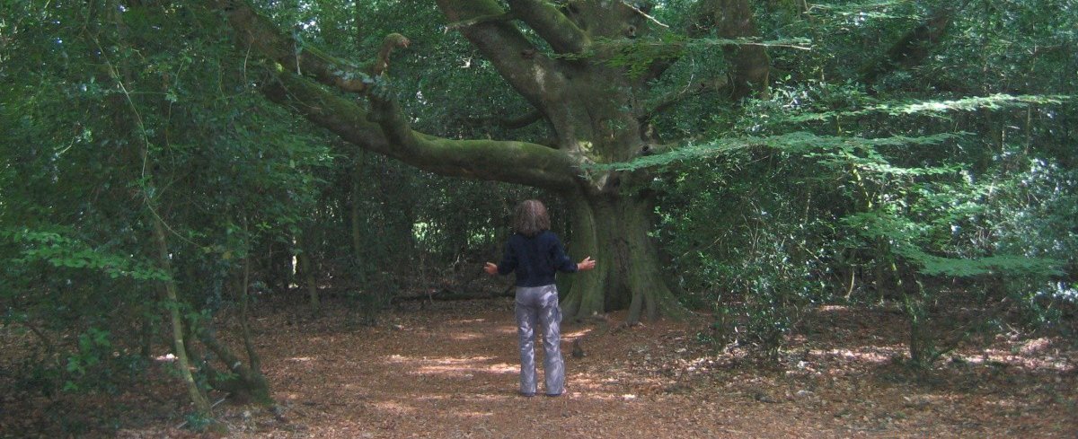 Stage en forêt de Brocéliande