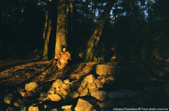 foret-broceliande