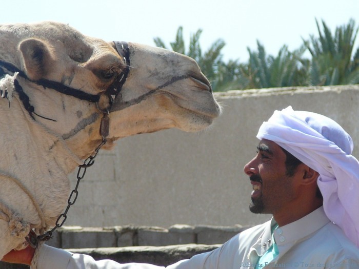 heberges-chez-les-bedouins-en-egypte-4