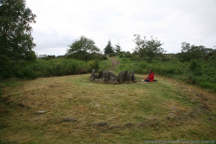 à l'hotier de la fée Viviane