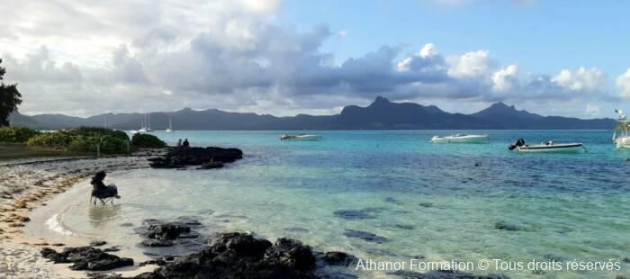 plage de l'île Maurice lors du séminaire avec les cachalots