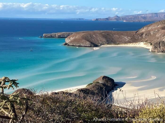plage typique de Basse Californie