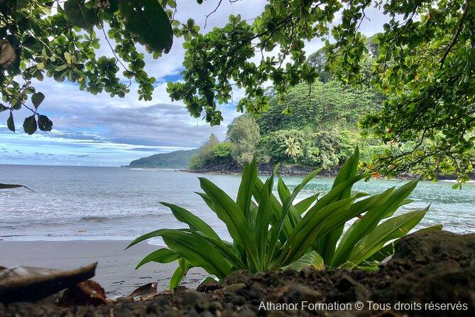 côte est de Tahiti pendant le stage athanor-formation