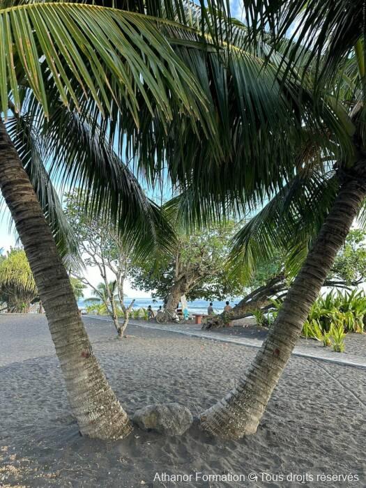 côte est de Tahiti durant le stage athanor(-formation