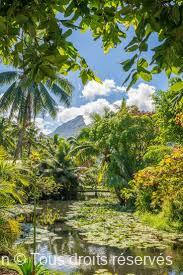 côte ouest  de Tahiti durant le séminaire athanor-formation